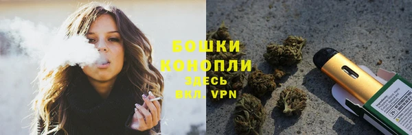 индика Абаза