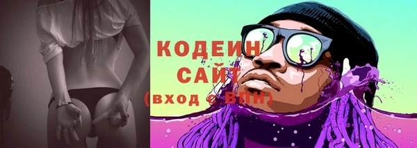 индика Абаза