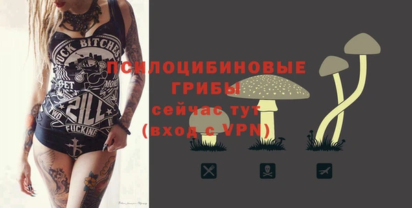индика Абаза