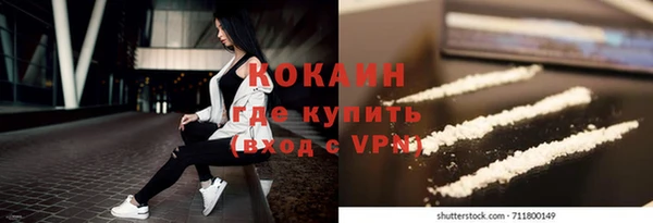 индика Абаза