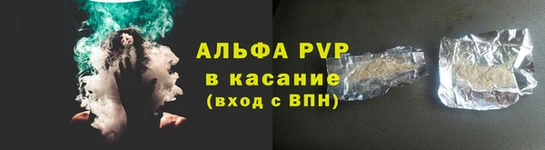 индика Абаза