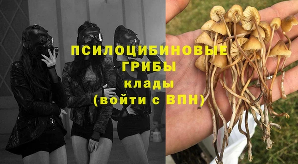 индика Абаза