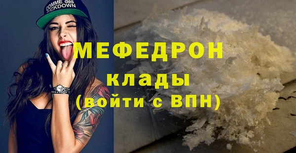 индика Абаза