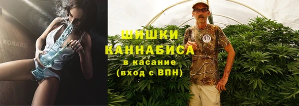 индика Абаза