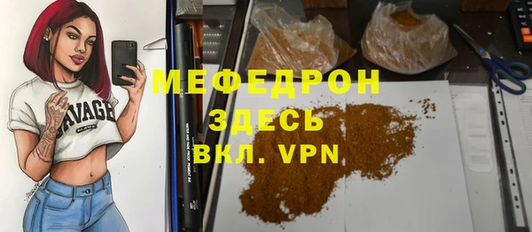 индика Абаза
