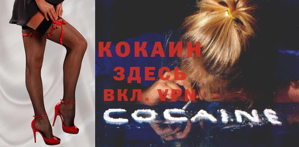 индика Абаза