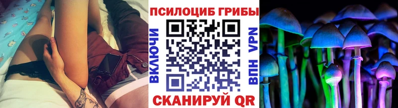 закладка  мега ТОР  Псилоцибиновые грибы GOLDEN TEACHER  Пугачёв 